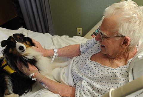 therapy dog at nursing home